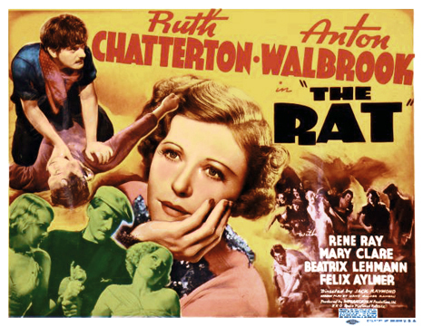Die Ratte-Poster-web1.jpg