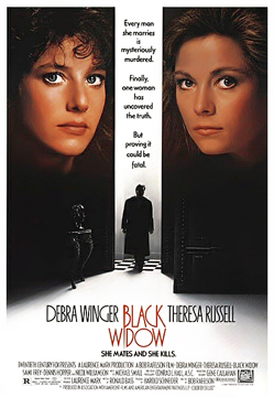 Die schwarze Witwe-Poster-web2.jpg